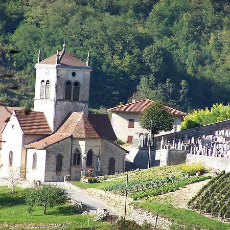 Gite Du Vieux Tonneau Cerdon  Экстерьер фото